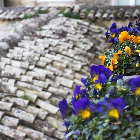 Le Violette Villa Матера Екстериор снимка