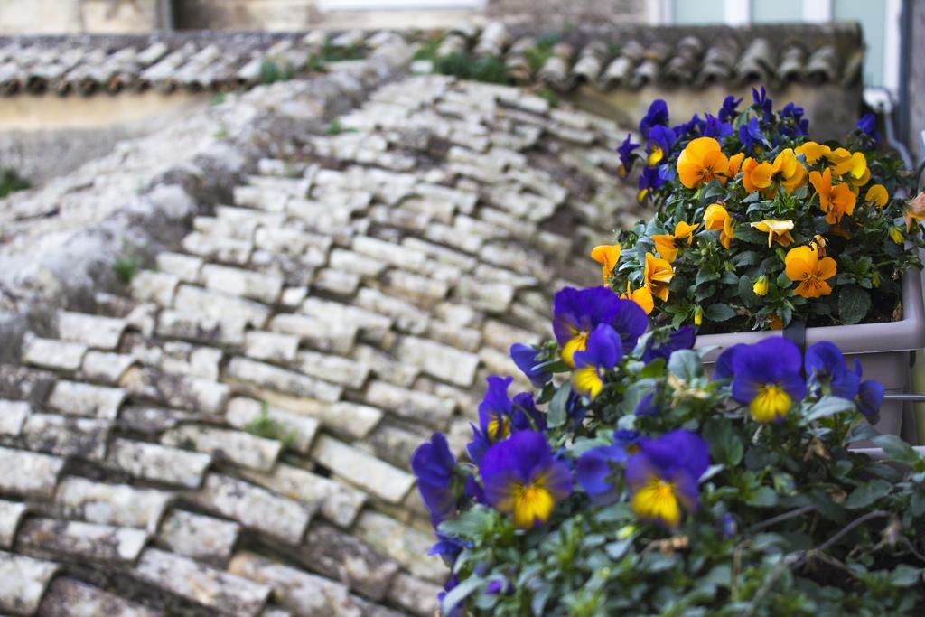 Le Violette Villa Матера Екстериор снимка
